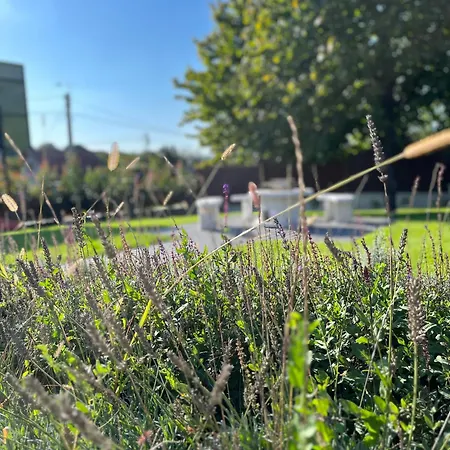 Szeglet Апартаменты *